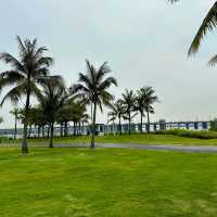 Bin Hai cultural park in the summer