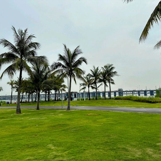 Bin Hai cultural park in the summer Bin Hai cultural park in the summer