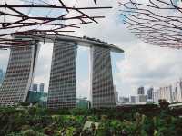 🇸🇬新加坡「擎天樹」
