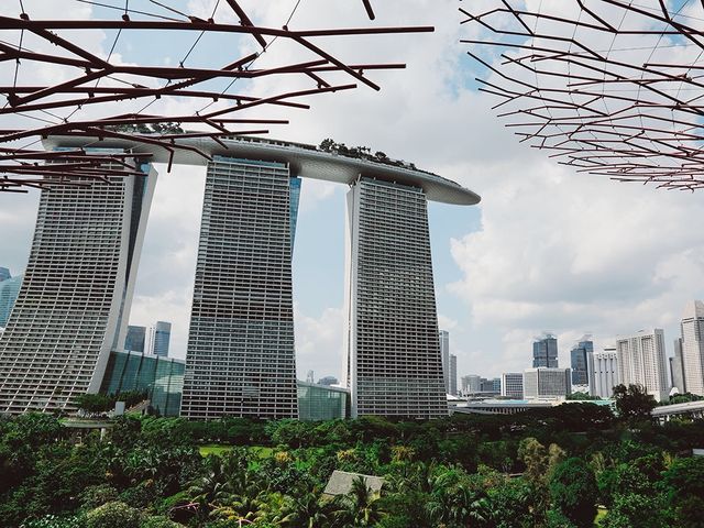 🇸🇬新加坡「擎天樹」