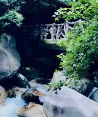 夏日避暑勝地，臥龍谷