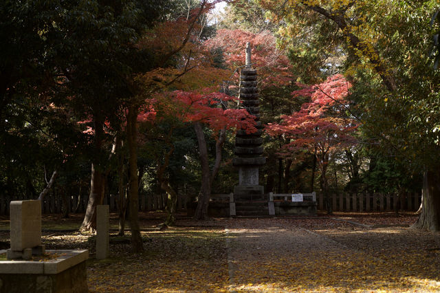 京都看紅葉人太多 不如直接去奈良