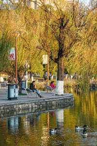 深秋的翠湖公園真的太美了（附攻略）