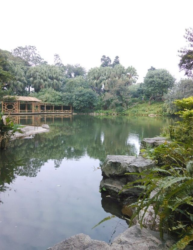 佛山遛娃好去處——免費寶藏公園中山公園！