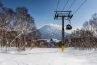 今冬最熱滑雪目的地盤點北海道