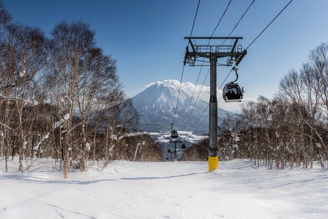 今冬最熱滑雪目的地盤點北海道