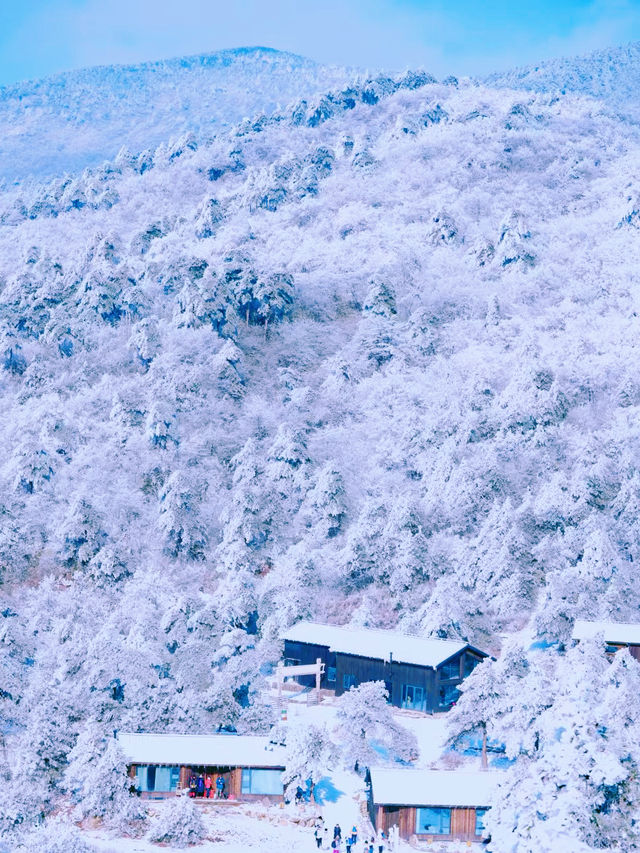 你們都去浙西天池吧｜讓我獨享百丈岭的雪景徒步—百丈岭追雪之旅