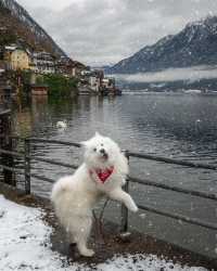 Hallstatt Chronicles: A Picture-Perfect Weekend Getaway 🏞️🇦🇹