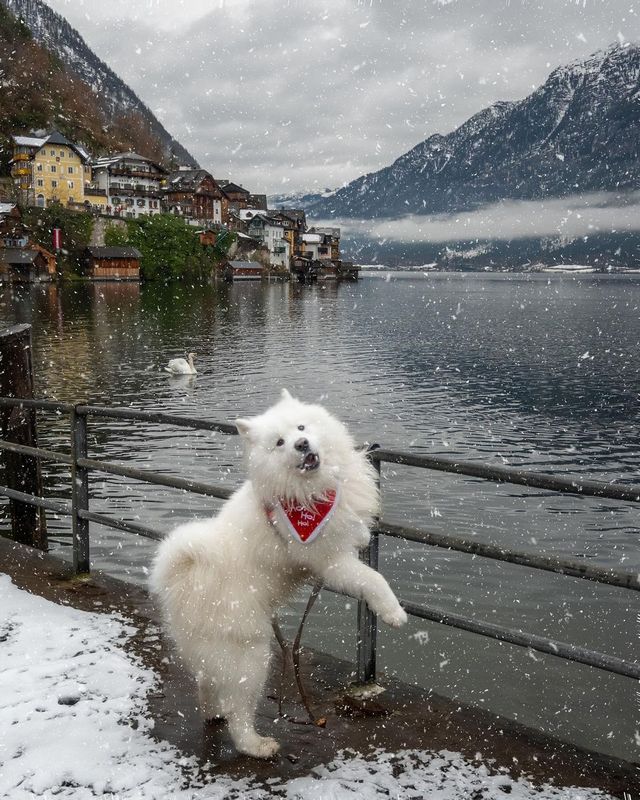 Hallstatt Chronicles: A Picture-Perfect Weekend Getaway 🏞️🇦🇹