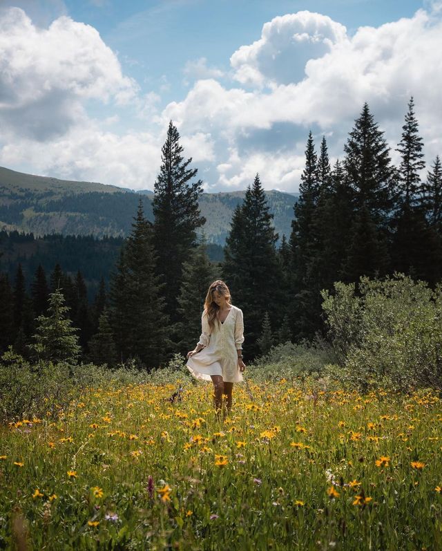 Colorado's Summer Magic: A Colorful Wildflower Wonderland! 🏔️🌼