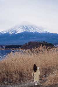 又是花式看富士山的一天，依然是選擇了包車一日遊，因為冬天天黑得早，我們選擇了7點就從東京開車出發了