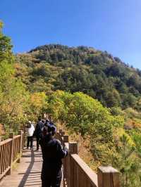 內蒙十一出遊｜馬鞍山國家森林公園