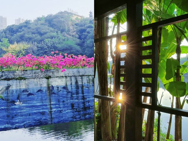重慶小江南‖彩雲湖濕地公園