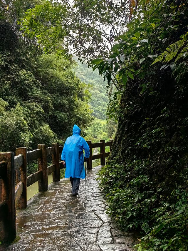 天坑 地縫之旅