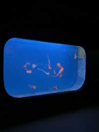 我真的沒想到！大連極地這麼好拍！！！