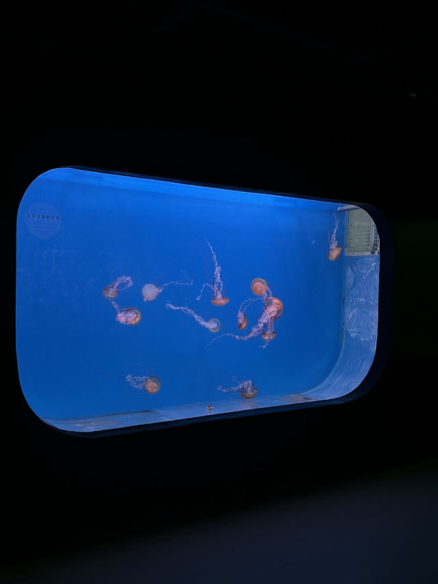 我真的沒想到！大連極地這麼好拍！！！