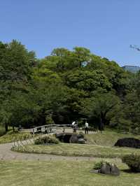 藏在東京市中心的秘境遊園地 | 小石川後樂園