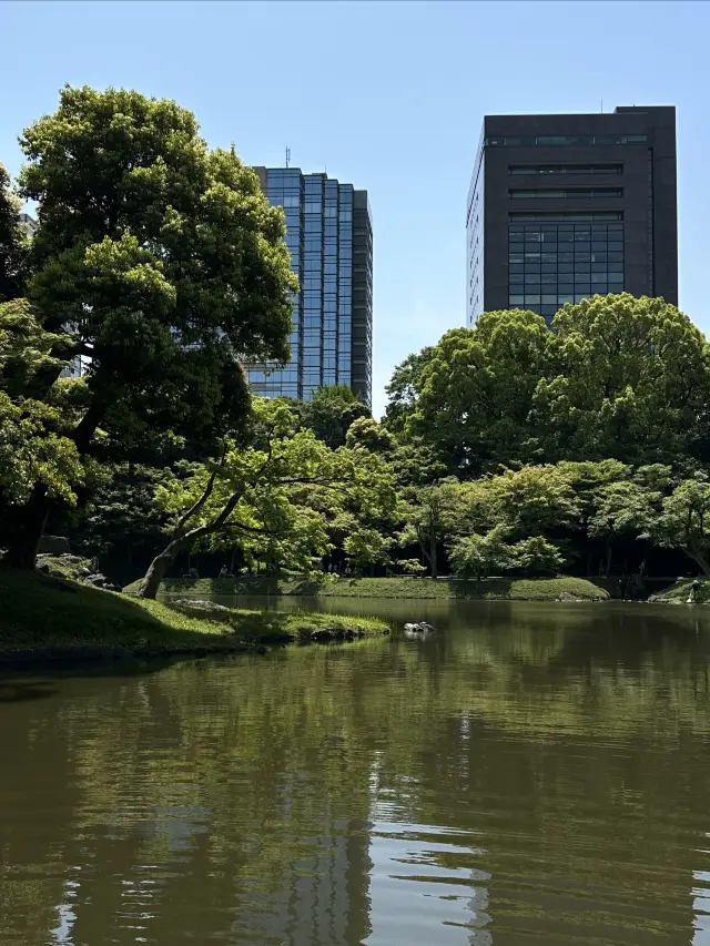 東京市中心に隠された秘境遊園地 | 小石川後楽園