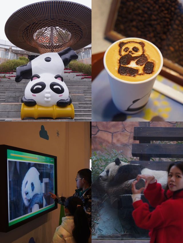 這個春節！還不知道去哪裡玩嗎