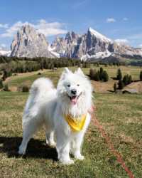 Discover the Magic of the Dolomites: Which Postcard is Your Favourite? 🇮🇹😍