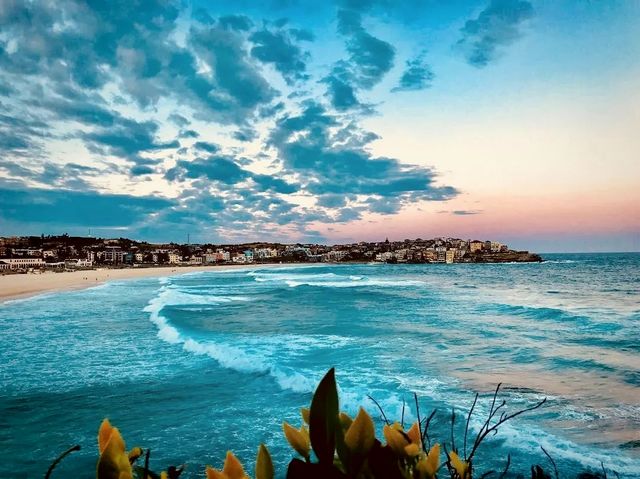 澳大利亞|打卡Bondi Beach邦迪海灘