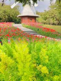 深圳莫奈花園，荷蘭花卉小鎮花海超好看