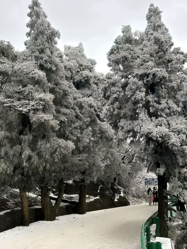 衡山大雪｜來賞霧凇冰雪森林