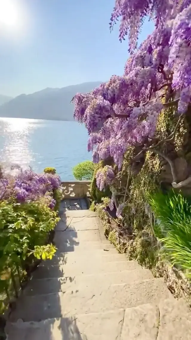 Villa del Balbianello: A Wisteria Wonderland on Lake Como