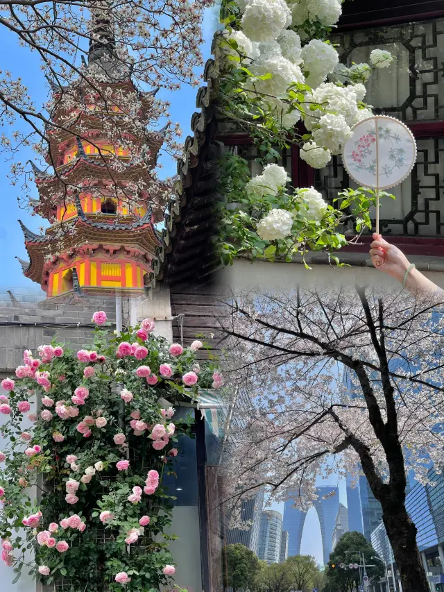 You can always trust in the spring of Suzhou