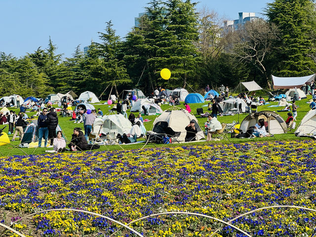 春日暖陽下的世紀公園