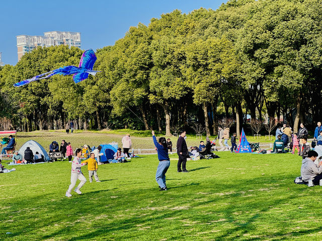 春日暖陽下的世紀公園