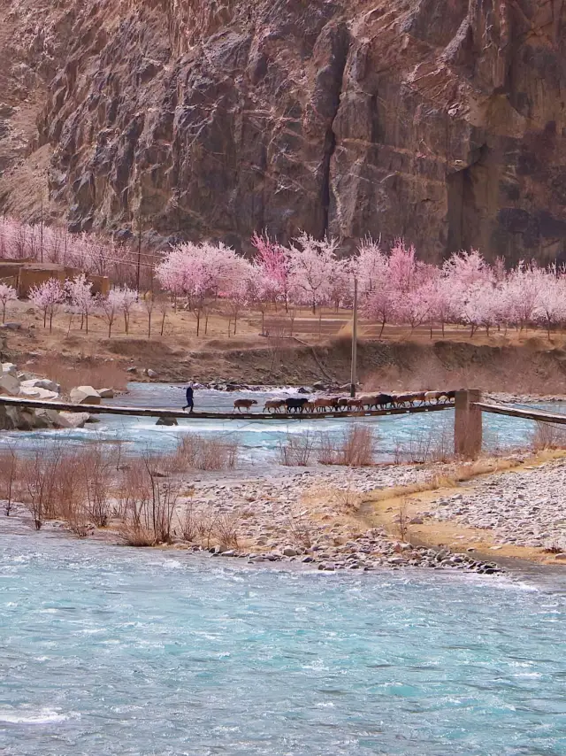 If I were to visit Southern Xinjiang only once in my lifetime, I would choose spring