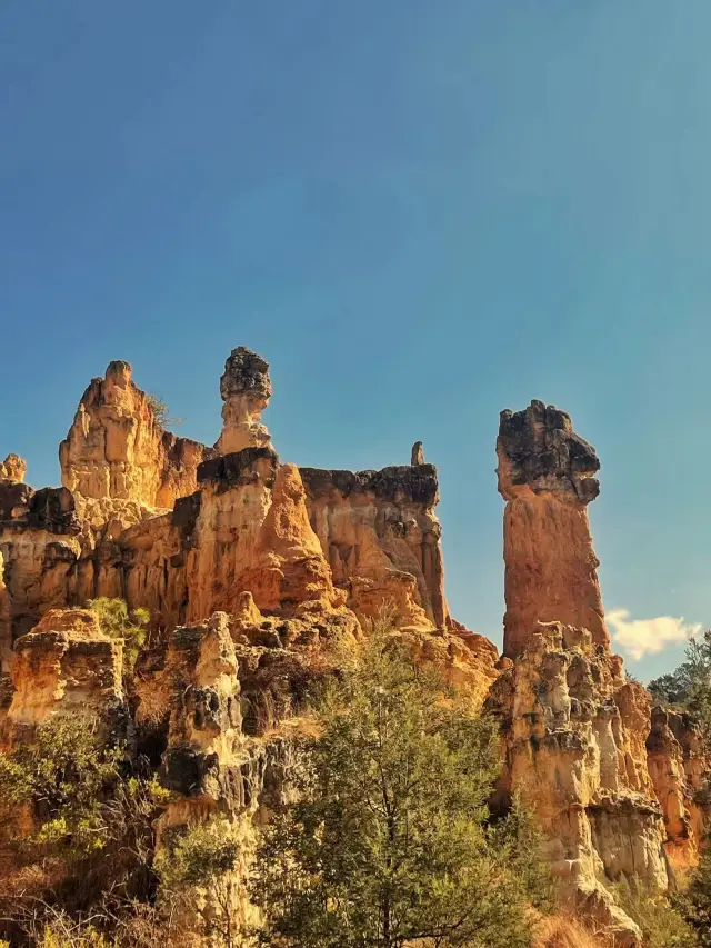 An Unexpected Wild View — The Colorful Sand Forest