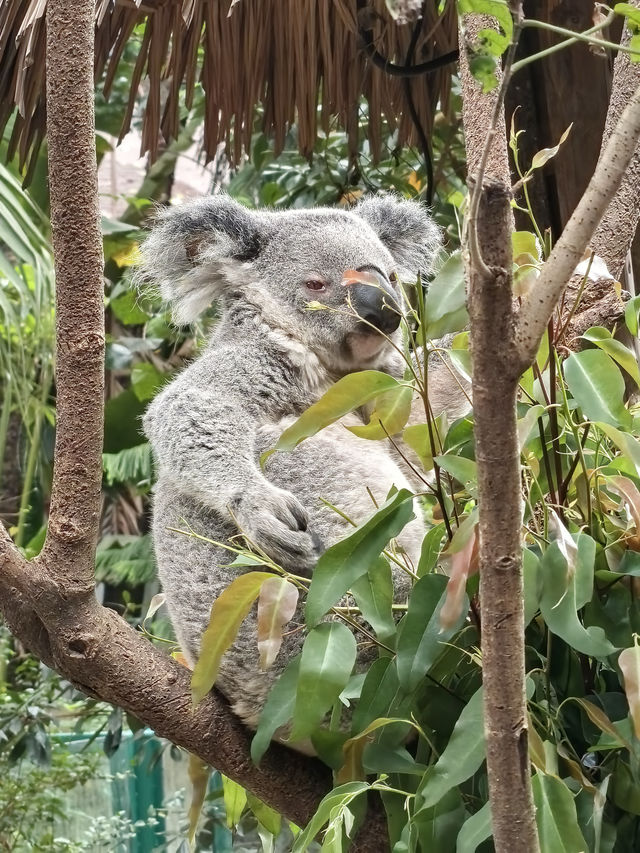 廣州之旅