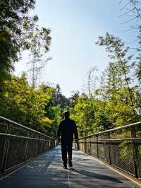 健康步道雲海線：廈門天竺岩寺至世紀和平園林