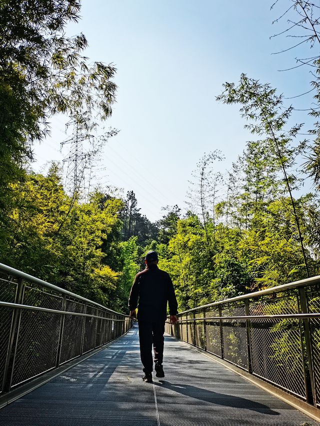 健康步道雲海線：廈門天竺岩寺至世紀和平園林