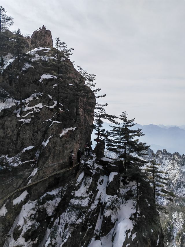 3月的老君山