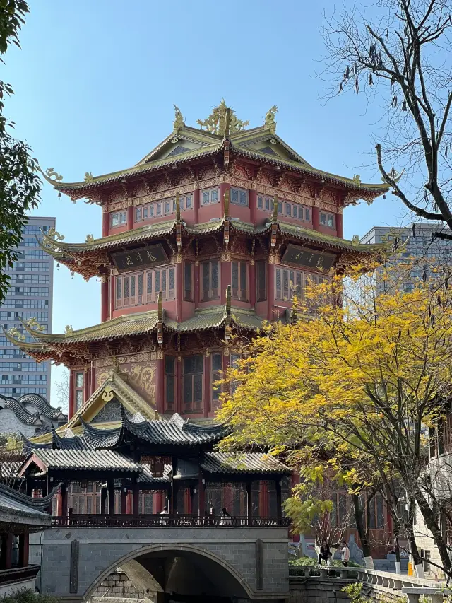 Hidden in the urban area of Chengdu, the Jiangnan water town | Longtan Water Town