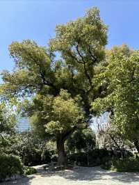 上海桂林公園