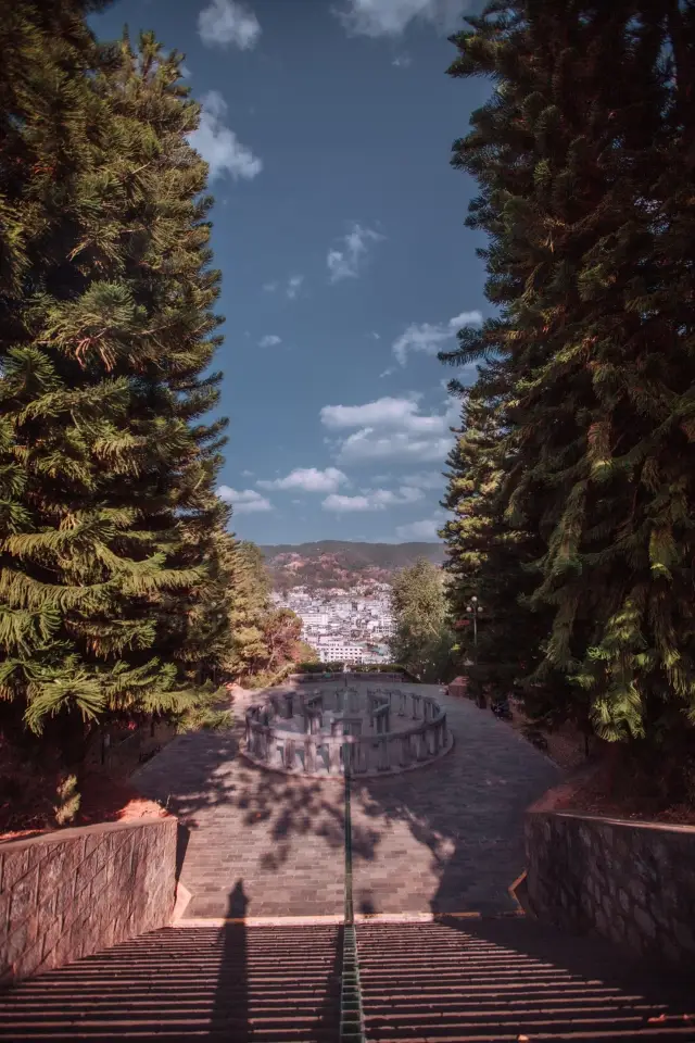 Crossing the Tropic of Cancer, I arrived at the place where the sun turns around