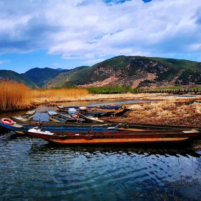 Walking Marriage Bridge