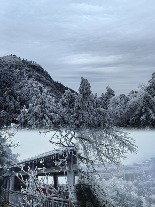 衡山大雪過後的雾凇真的美哭了