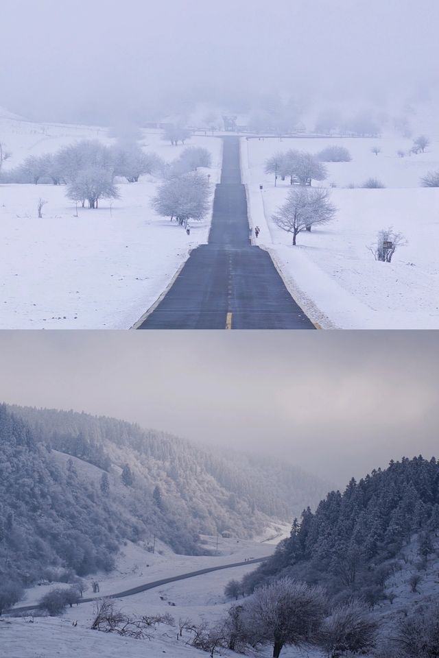 重慶武隆仙女山2024玩雪最全攻略