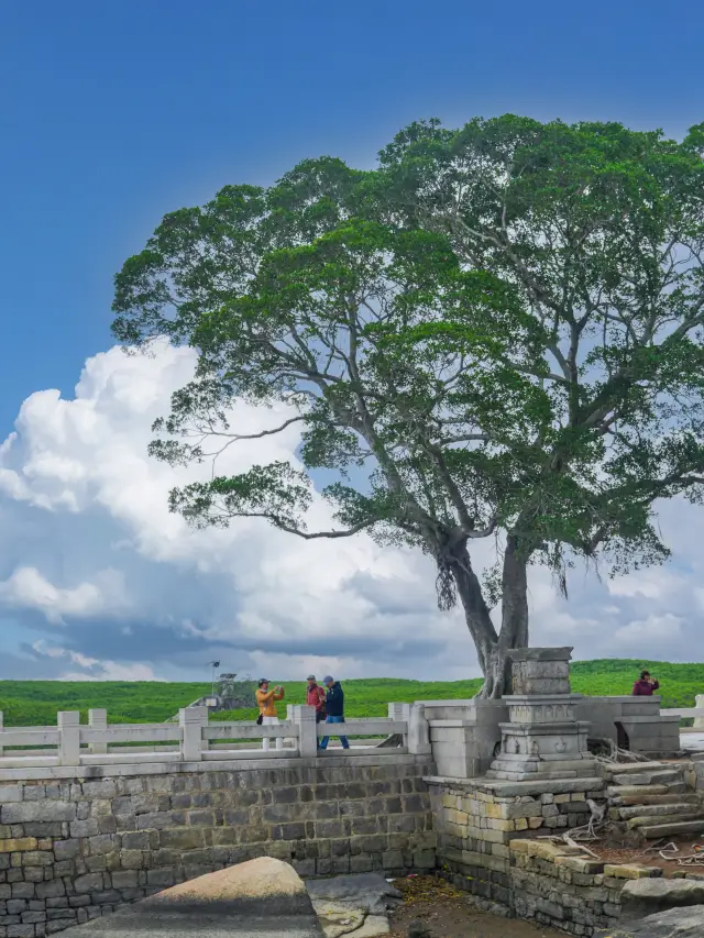 Quanzhou Off-the-Beaten-Path | The Nostalgic Story of Luoyang Bridge