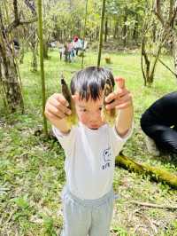 在滬上蕞神秘的莊園挖筍踏青是一種什麼樣的體驗？