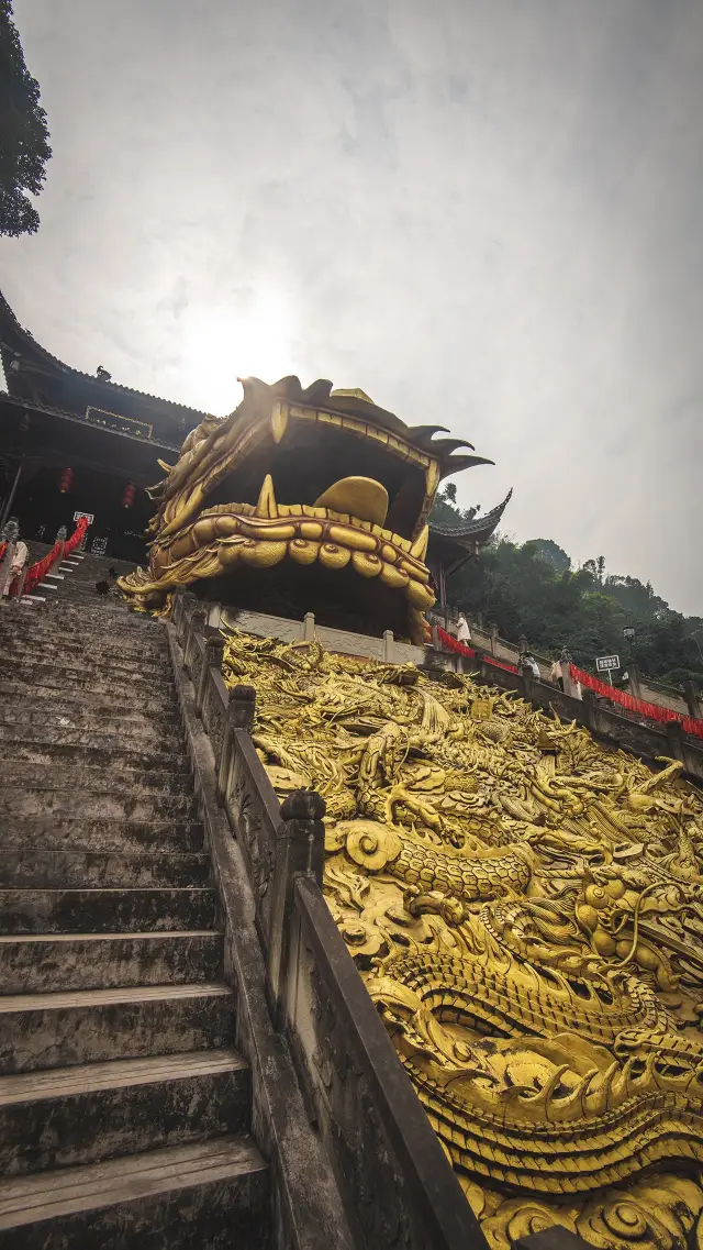 你見過和一座大殿一樣大的龍頭嗎？