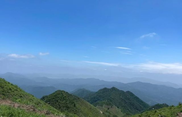 屏山旅遊區你玩得可真花啊! 屏山旅遊區你玩得可真花啊!