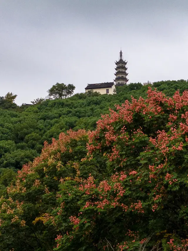 上方山的秋是大自然最浪漫的馈赠