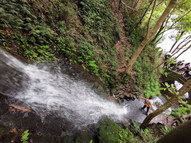 青山綠水育龍井，五雲山上尋五雲：九溪親子