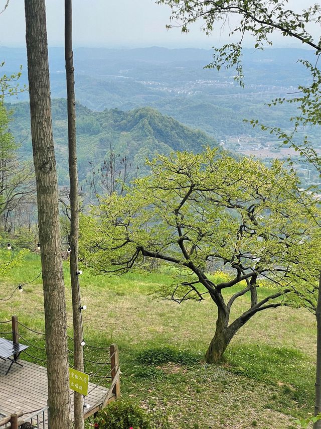 在成都！！住進森林治癒系帳篷營地